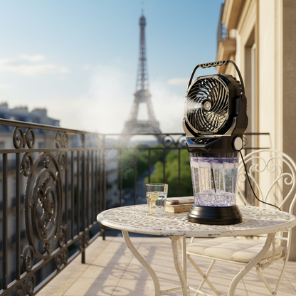 Balcon Paris